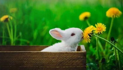 义乌伴游，定制QQ：3494206190微信：act1322